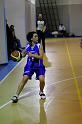 Basket 252006